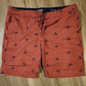 Men's Rust Stretch Shorts with Embroidered Design
